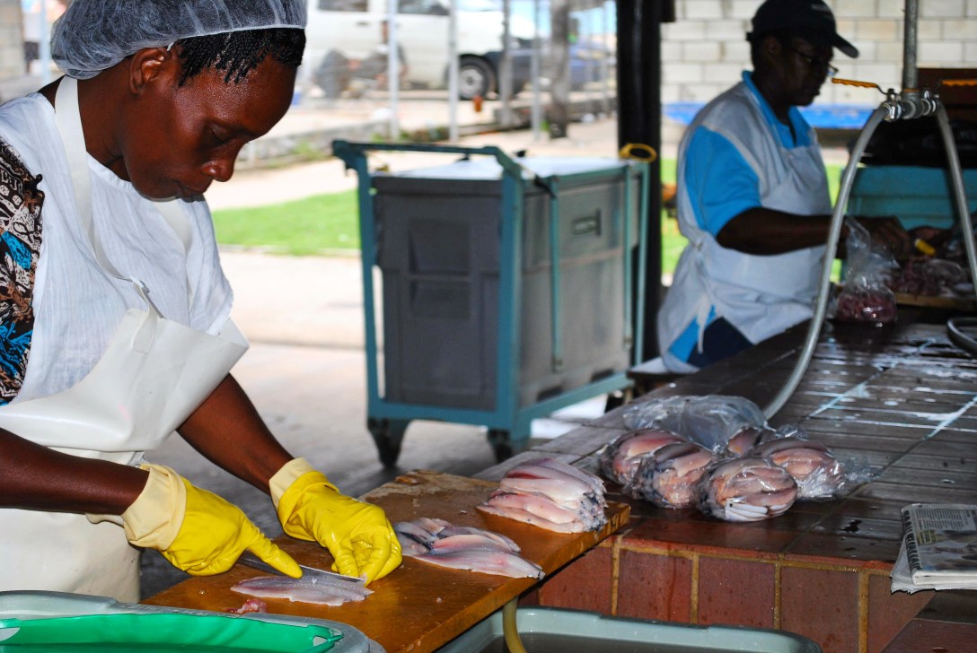 IMG_20170115_093058_708