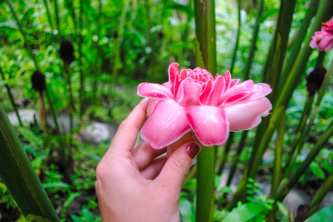 46943EF1-FE85-47F5-BA3C-9CB983912094